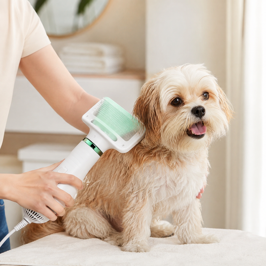PetDry 2 en 1 – Cepillo Secador para Mascotas